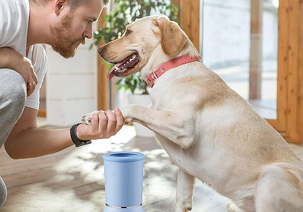 Un encuentro pet-friendly en Málaga ofrecerá exhibiciones, pasarelas de adopción y actividades infantiles