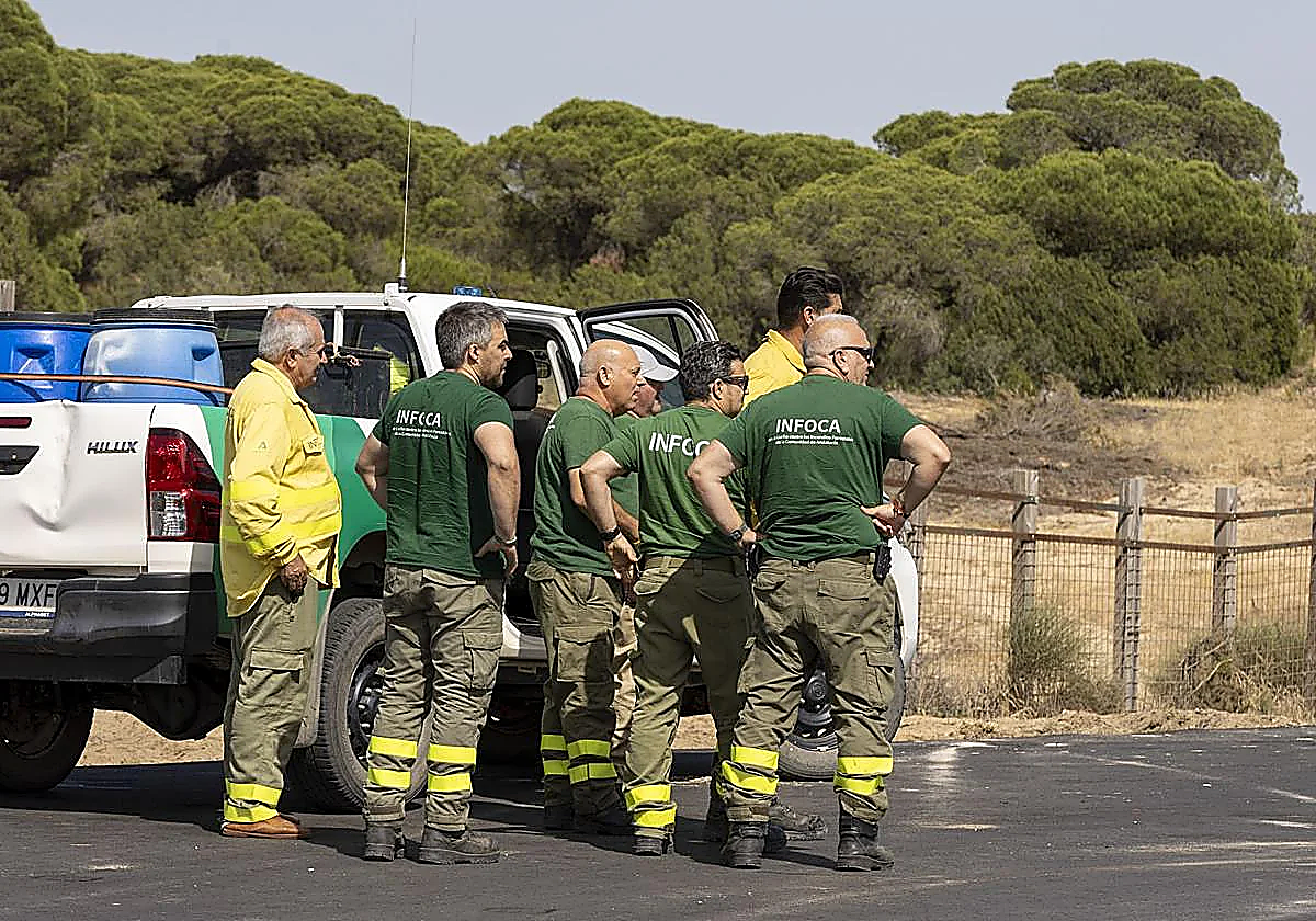 Fire at Andalusian National Park Doñana under control