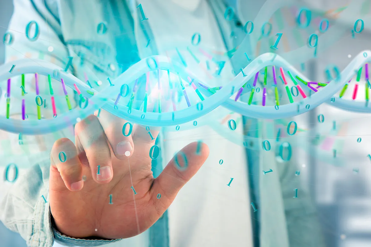 Hallan nuevos relojes moleculares que miden el envejecimiento y predicen la mortalidad