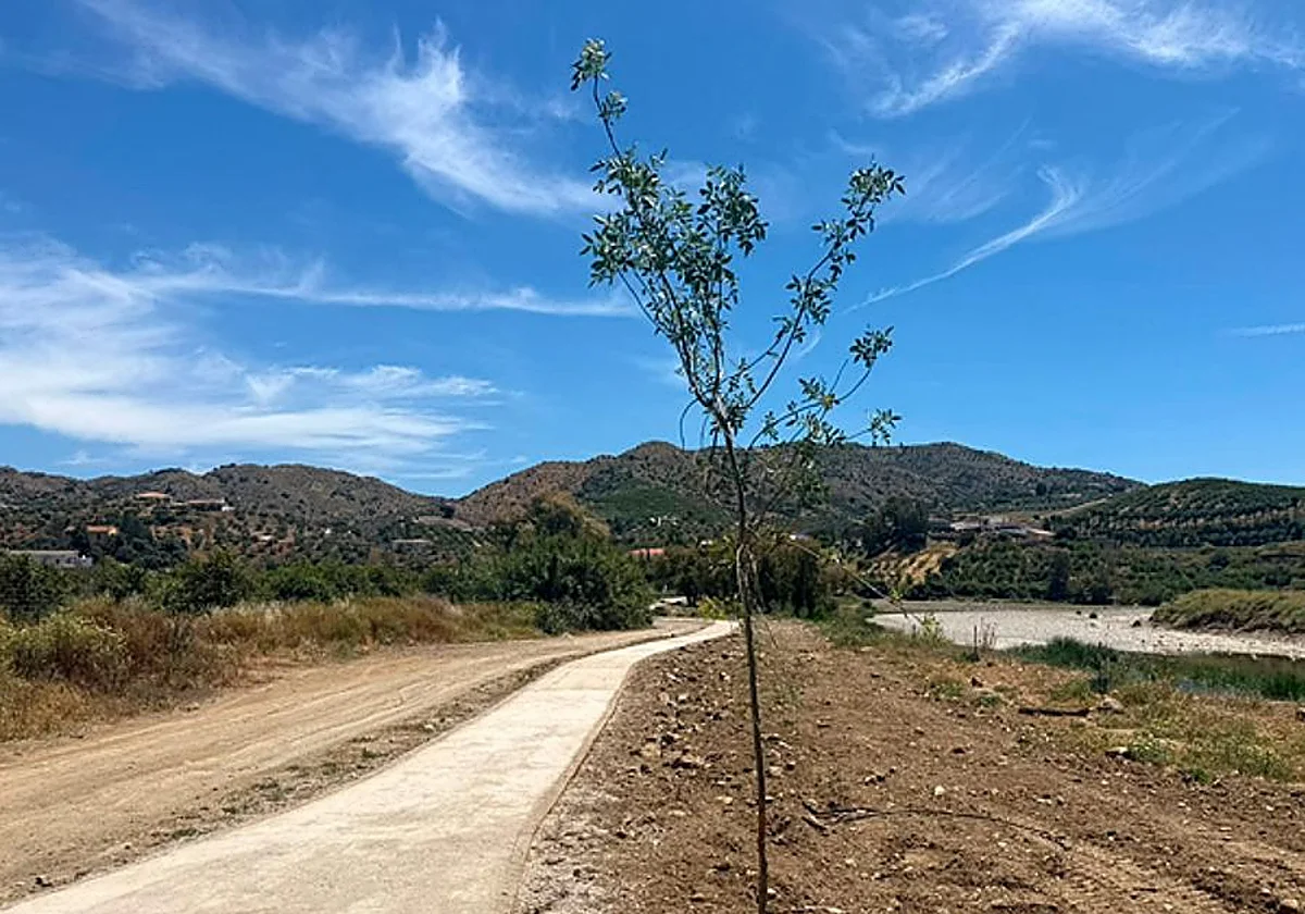 Riverside revamp for Álora town with a new footpath on the banks of the Guadalhorce river