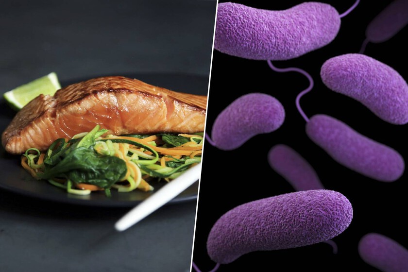 Si queremos cuidar nuestra microbiota, esto dice la ciencia sobre a qué hora es ideal cenar