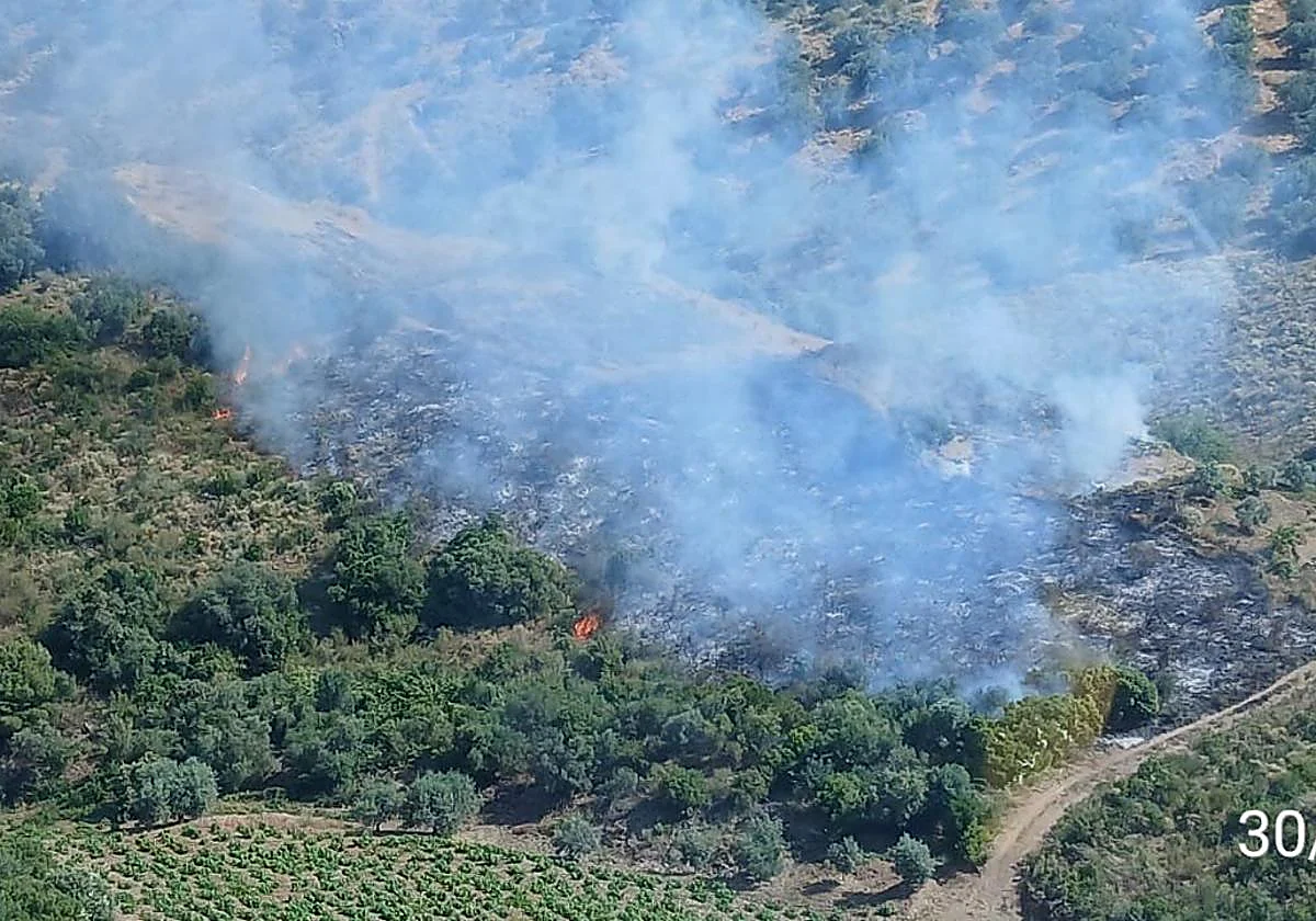 Controlado un incendio declarado en Almáchar