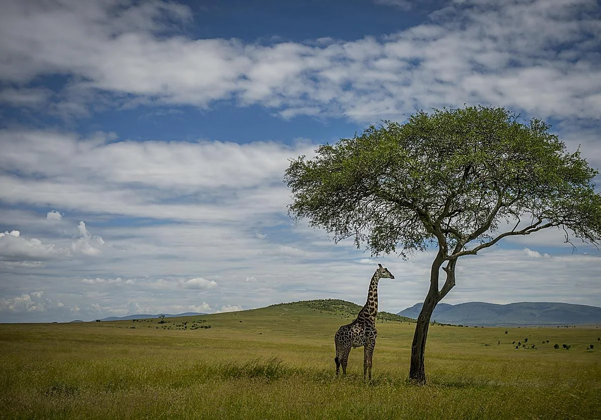 El valor geoestratégico de África