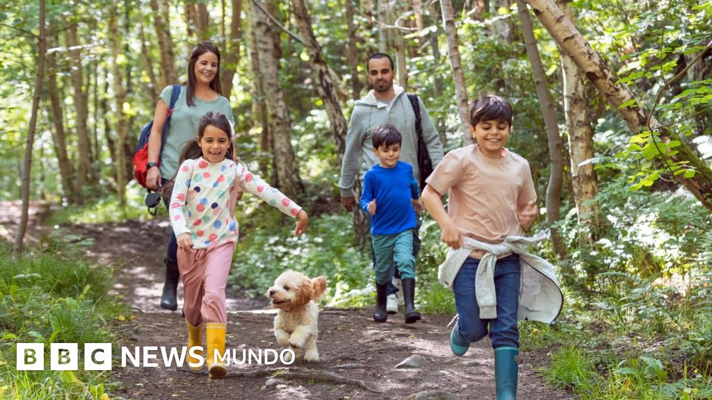 Cómo estar apenas 20 minutos en contacto con la naturaleza puede mejorar tu salud
