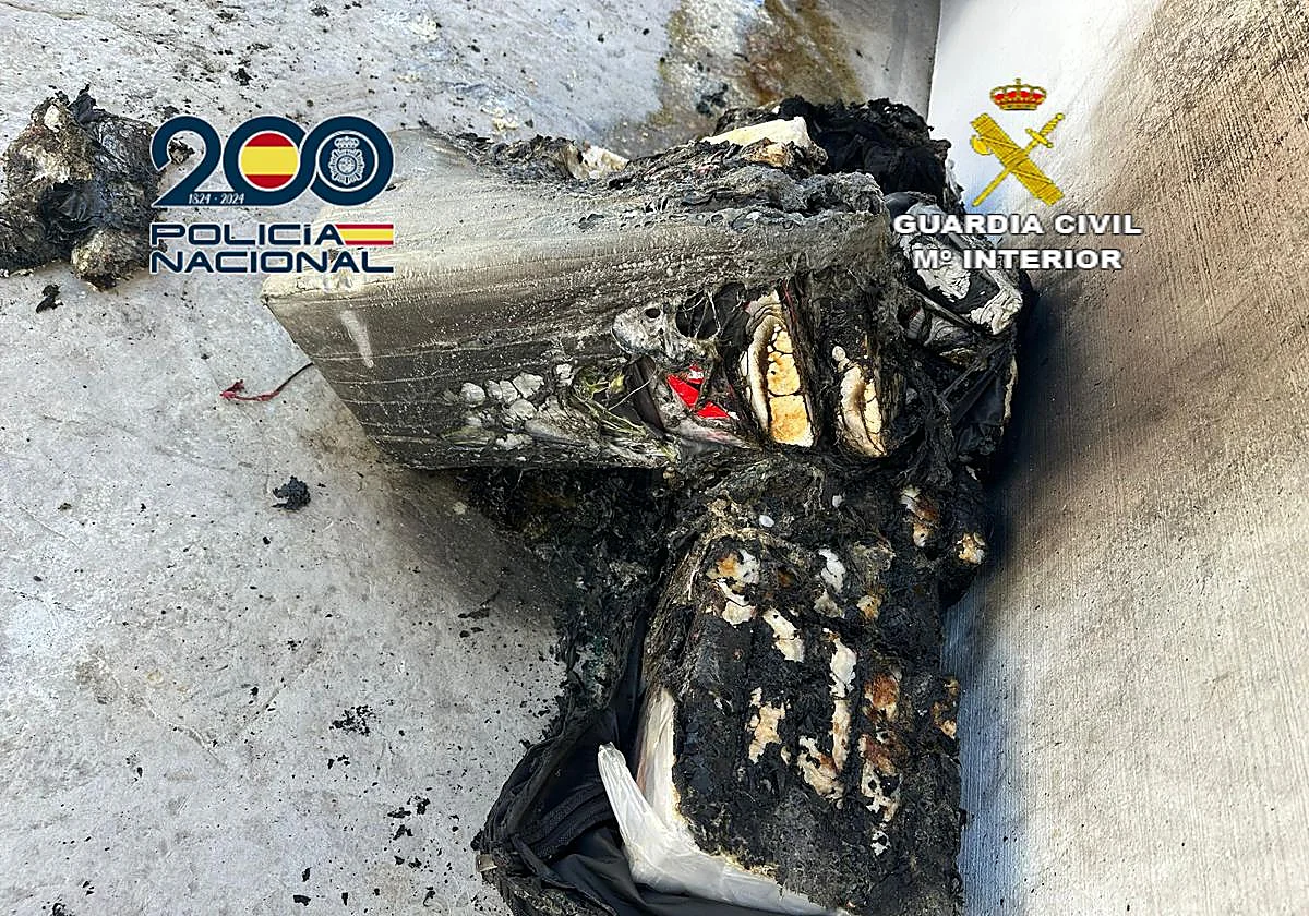 Cinco detenidos tras caer una red que quería enviar cocaína desde Fuengirola a Holanda