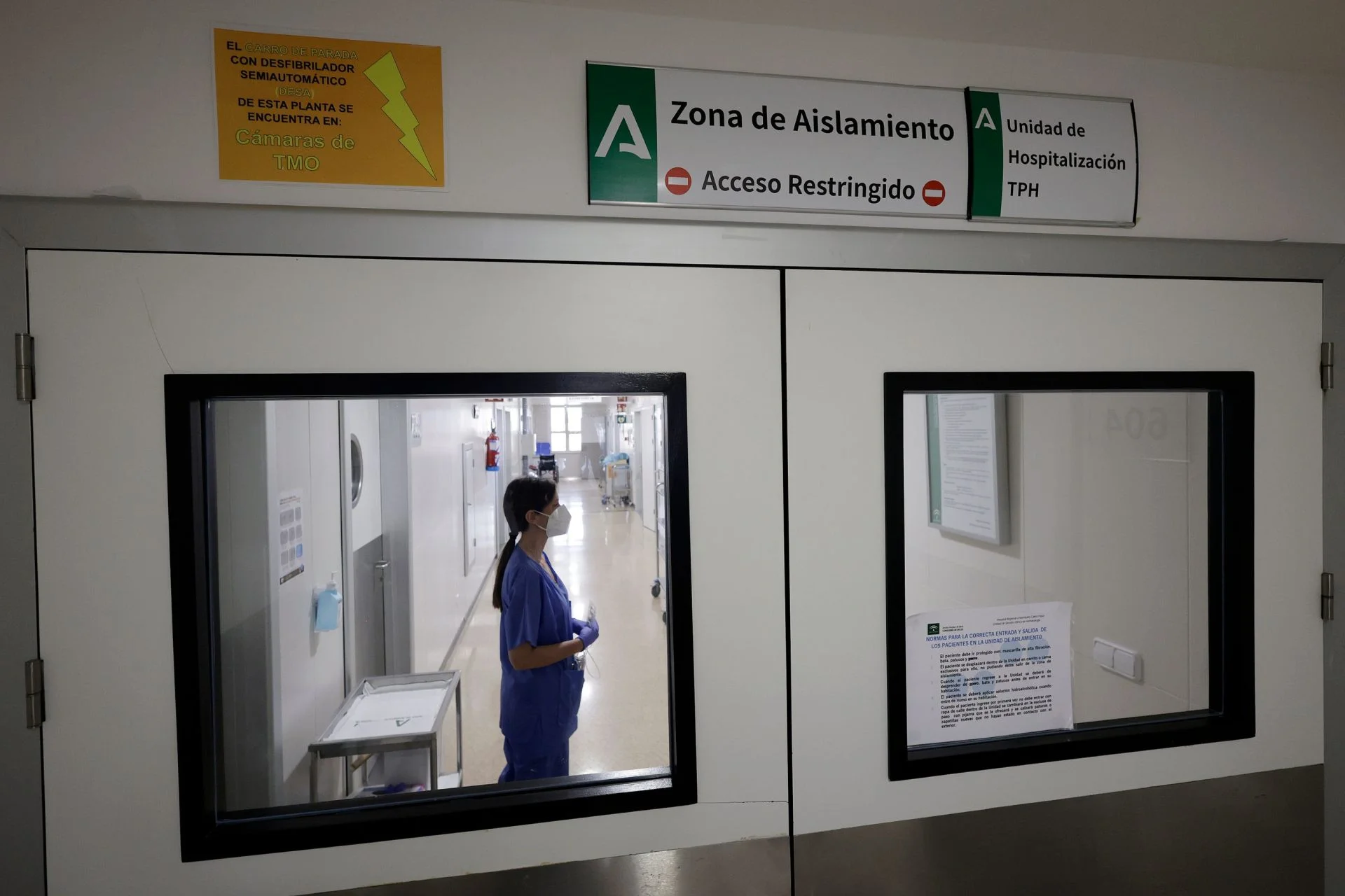 El Hospital Regional de Málaga amplía su capacidad para realizar trasplantes de médula ósea y ya roza los cien al año