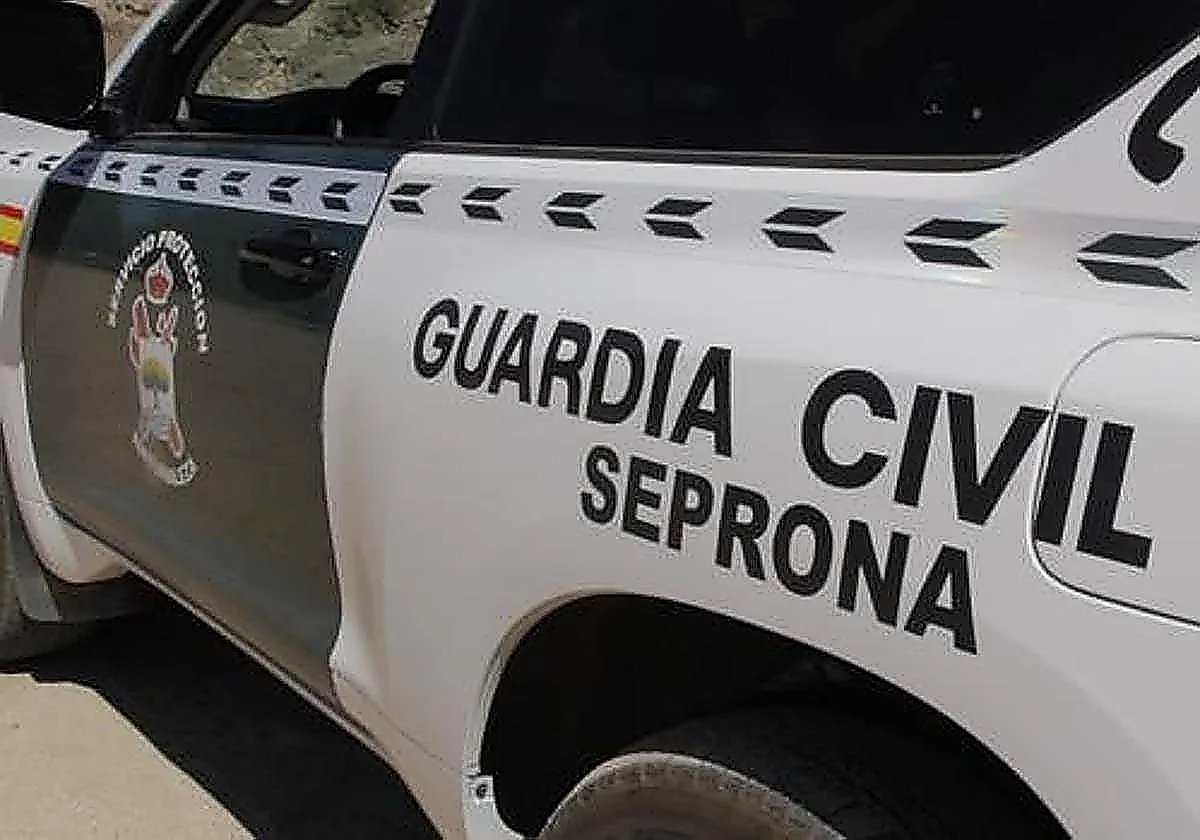 Malaga nature protection police rescue mountain goat from irrigation pond in Cártama