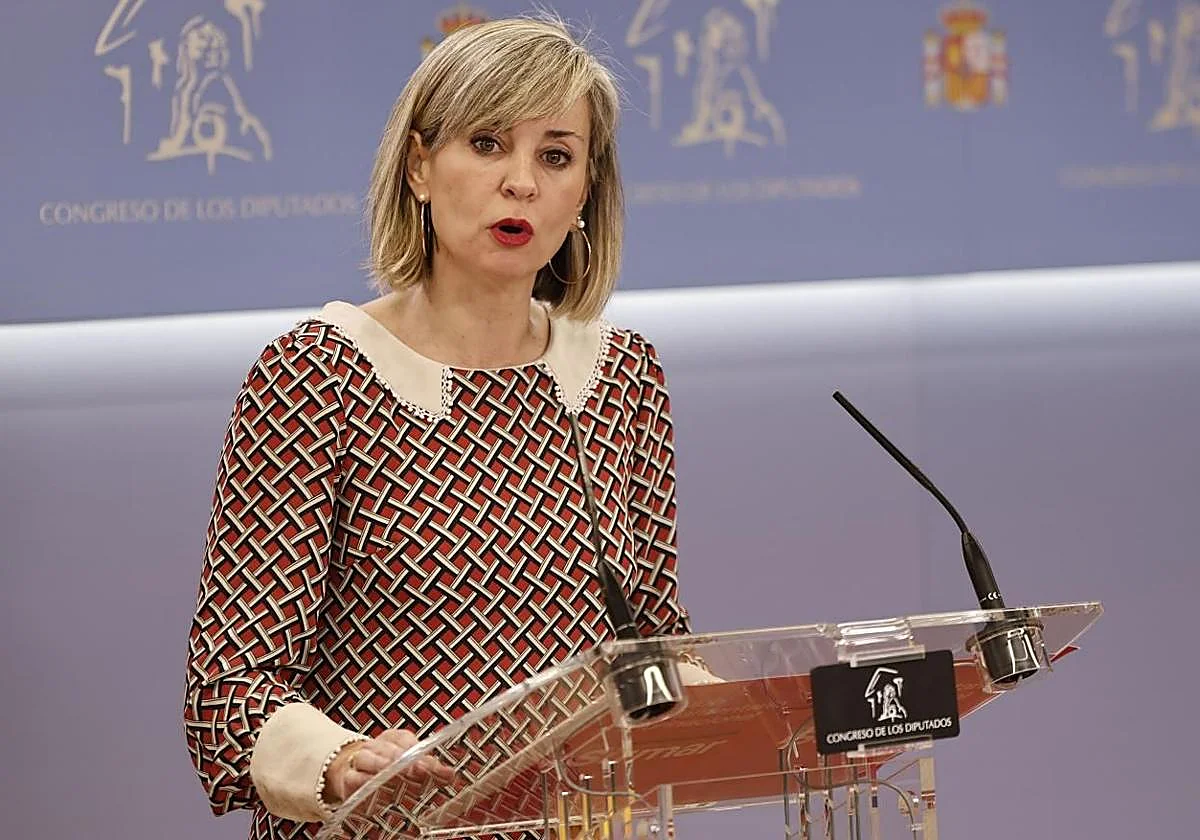 Sumar pide al Congreso habilitar el mes de enero y presiona al PSOE para que lo apoye