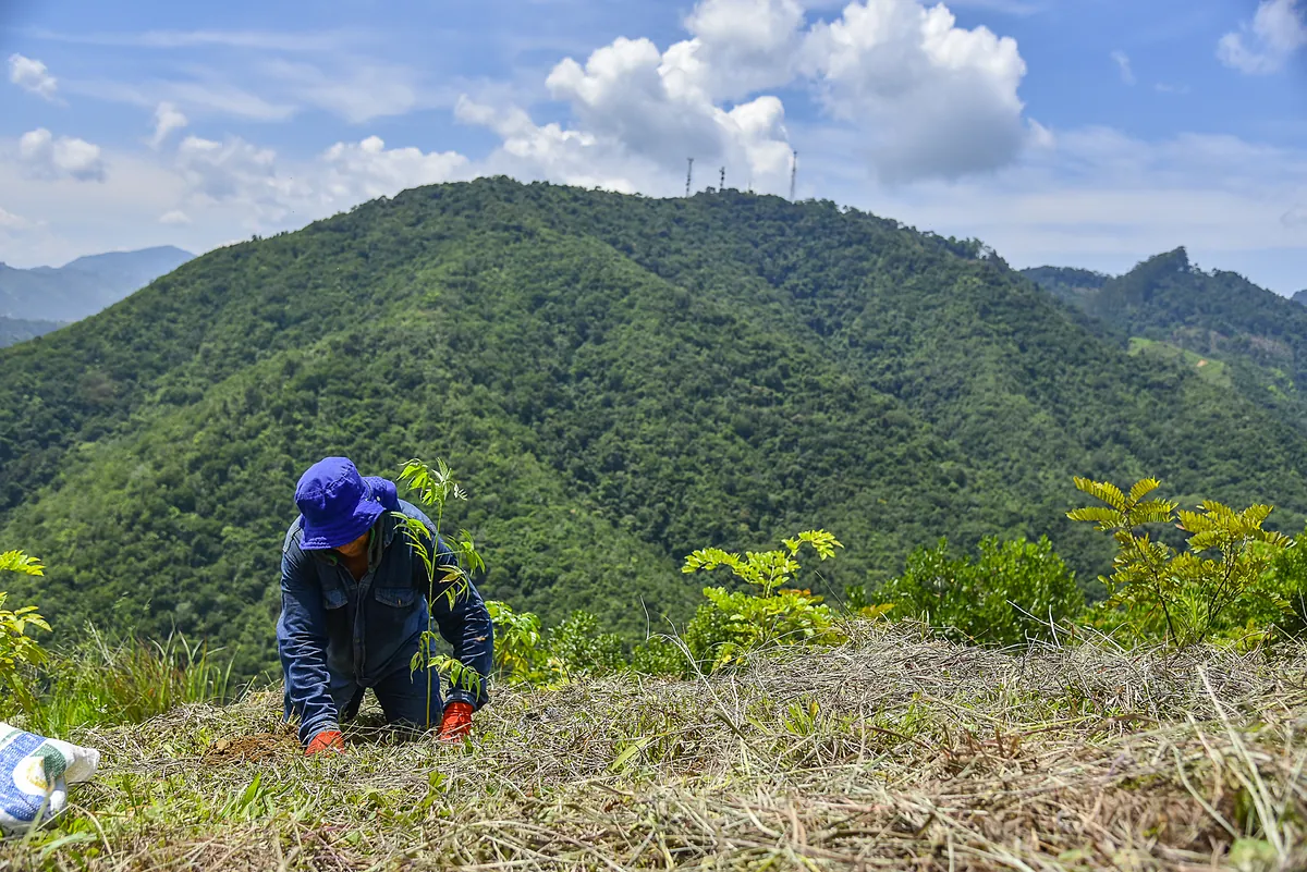 Ecoener lleva su modelo de éxito medioambiental al resto del mundo