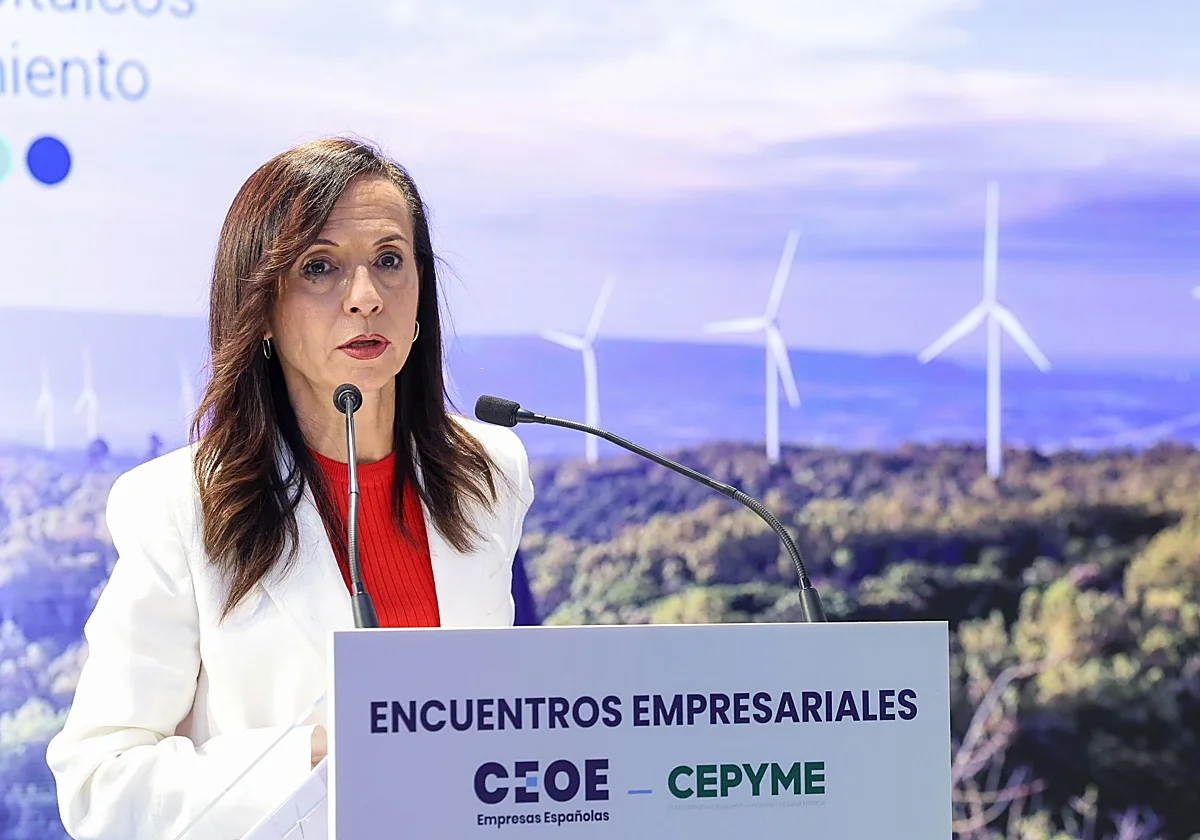 Red Eléctrica defiende el modelo integrado del operador y rechaza separar sus funciones