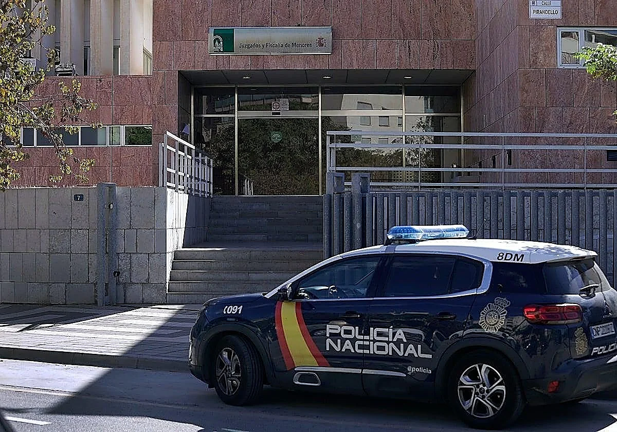Condenados ocho menores por secuestrar con machetes a un adolescente y un joven en El Palo