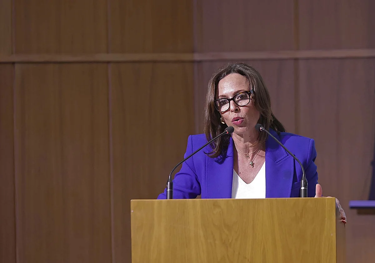 La Junta lamenta el abandono de los trenes andaluces tras la ayuda del Gobierno a Rodalíes