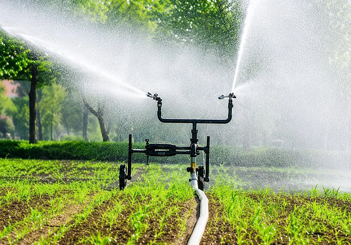 Desconfianza del campo en la digitalización