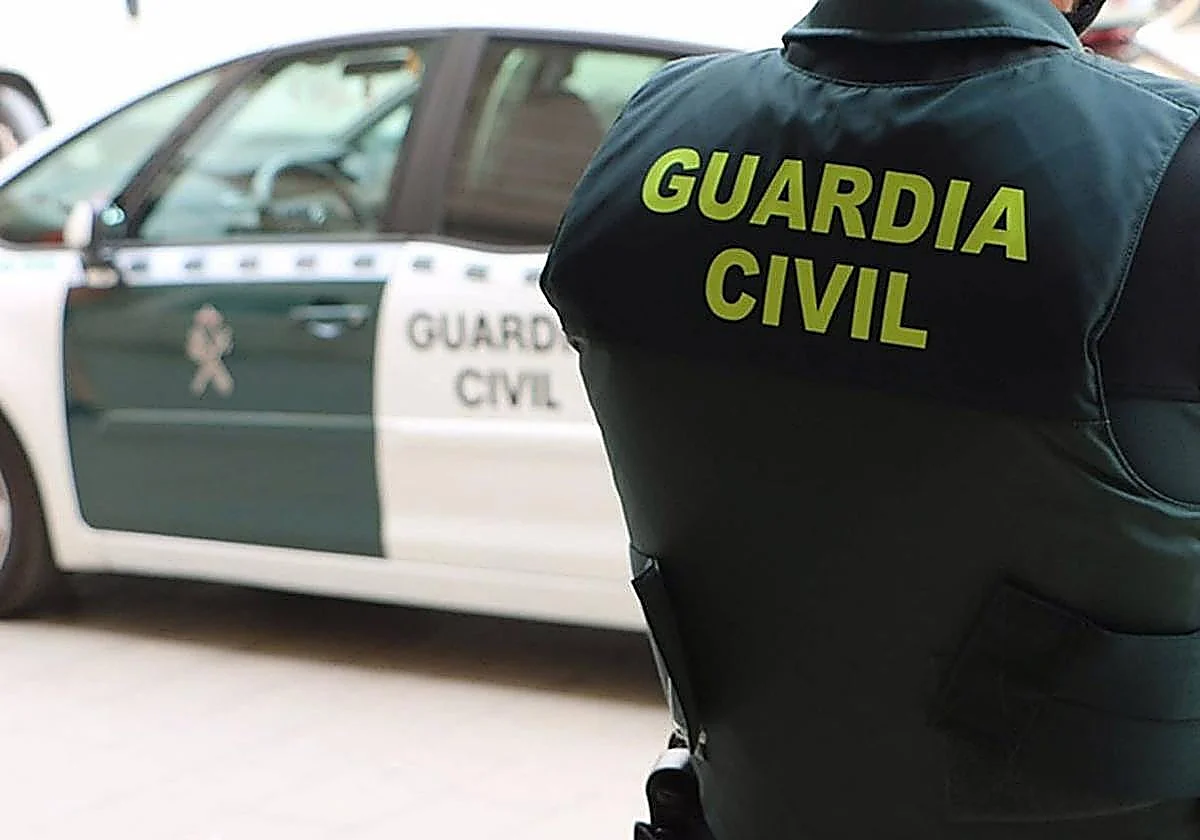 Couple who allegedly committed six robberies in Almuñécar in five days arrested and released on bail