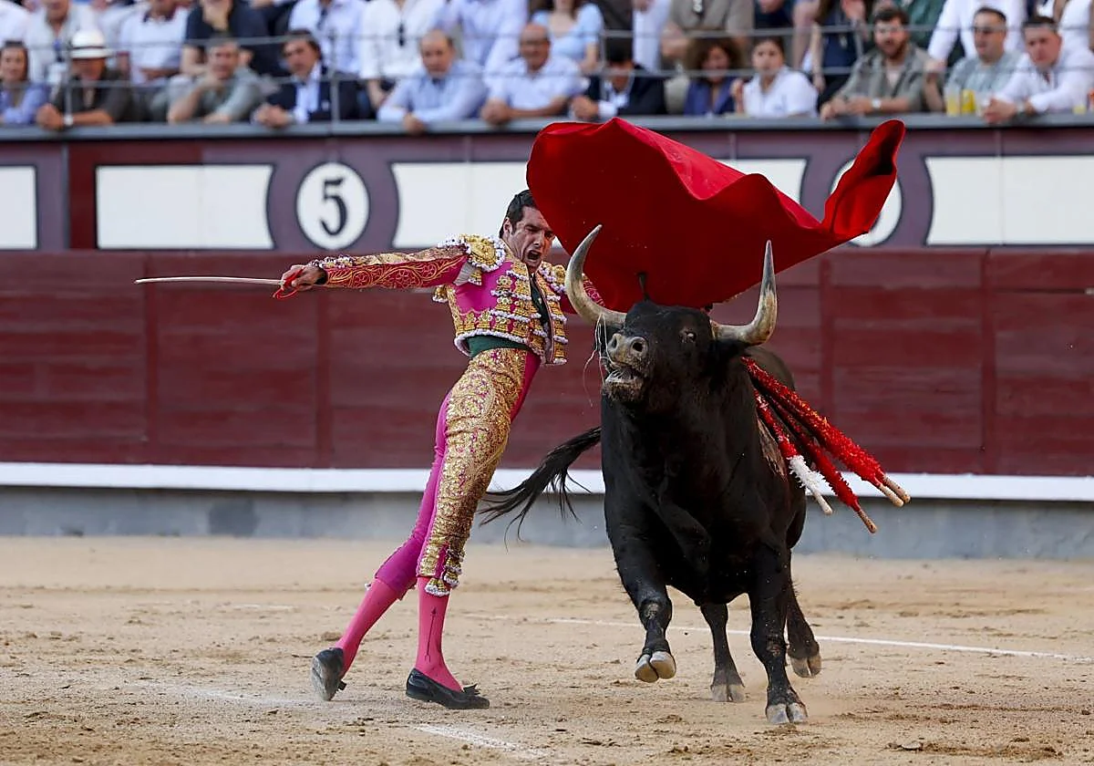 Un bravísimo toro de Jandilla