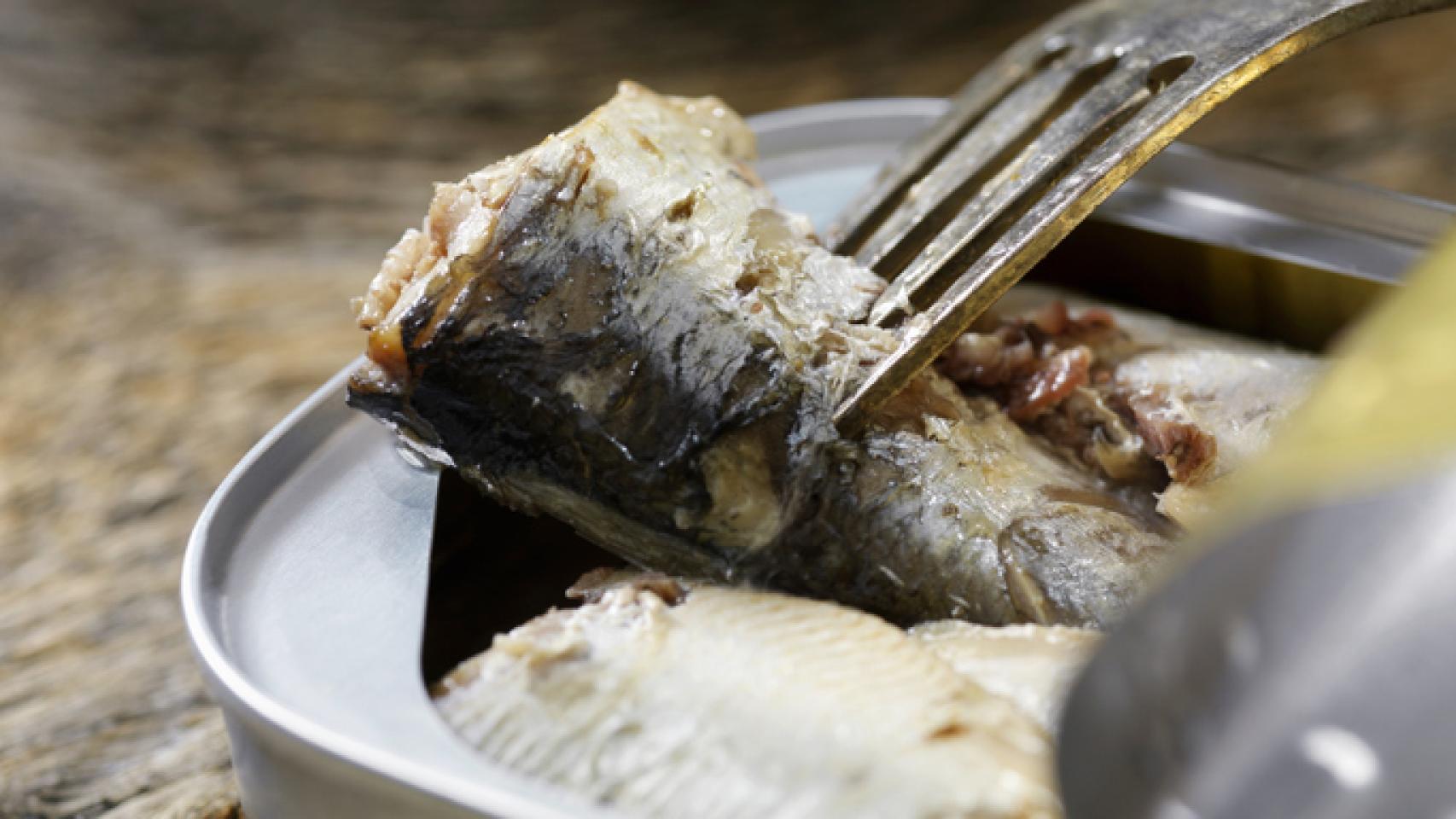 Entró en vigor: las latas de atún, sardinas y mejillones cambian su etiquetado en España en 2026