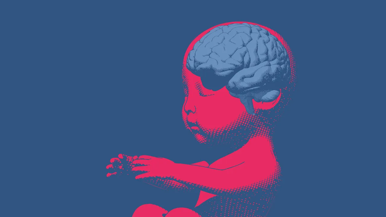 El cerebro no nace siendo un 'lienzo en blanco'