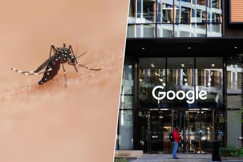 Google tiene claro cuál es el mejor antídoto contra los mosquitos: soltar 64 millones de mosquitos