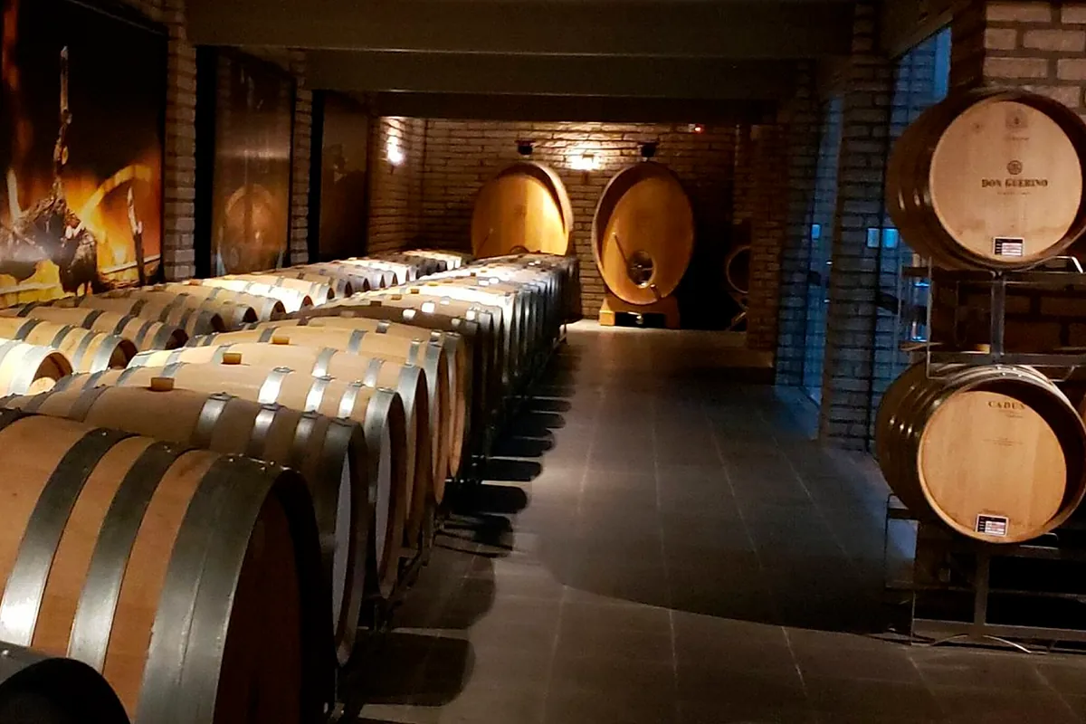 El vino brasileño aspira a cobrar protagonismo en la escena mundial