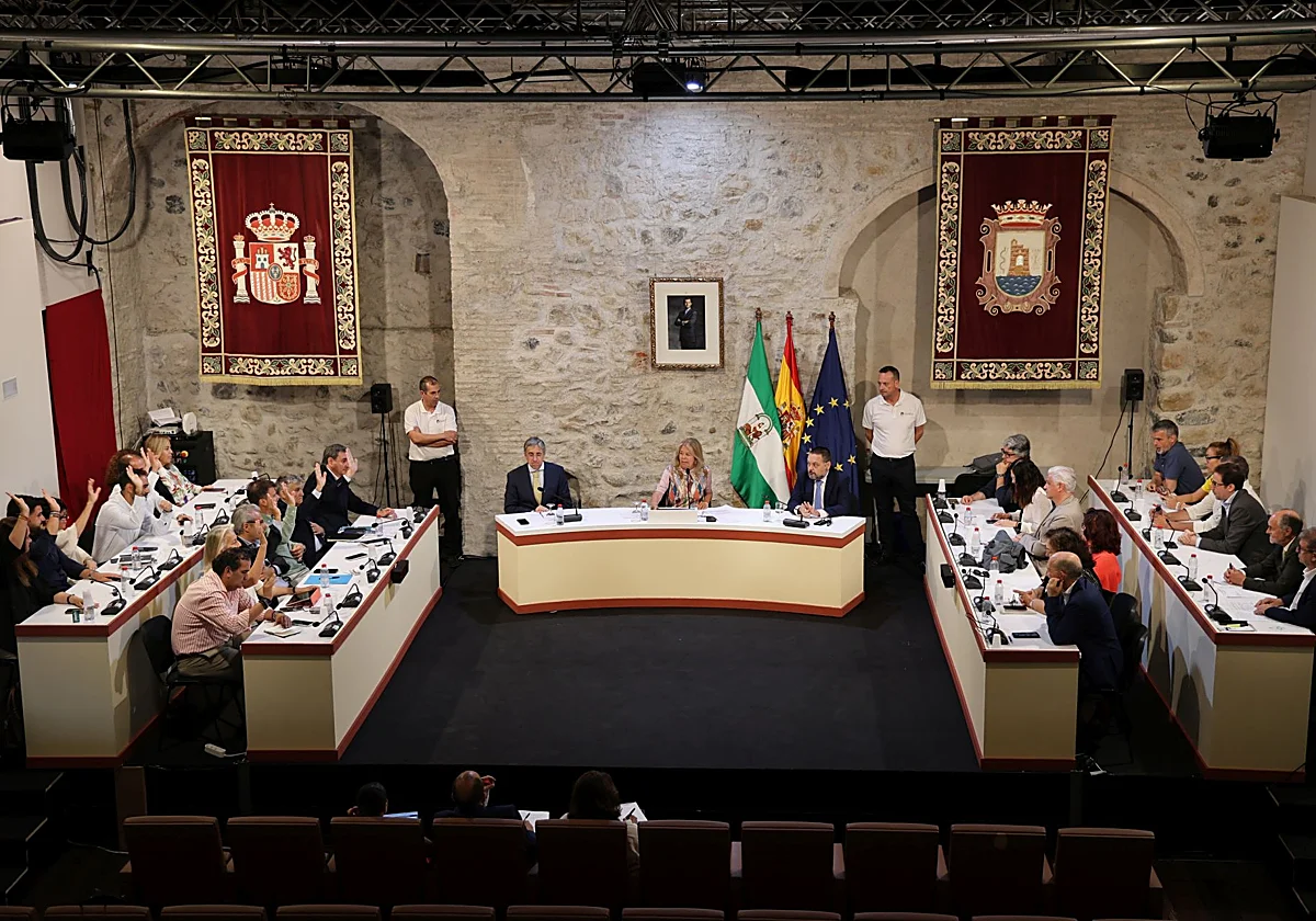 Marbella financia con su liquidez más de 7 millones en inversiones