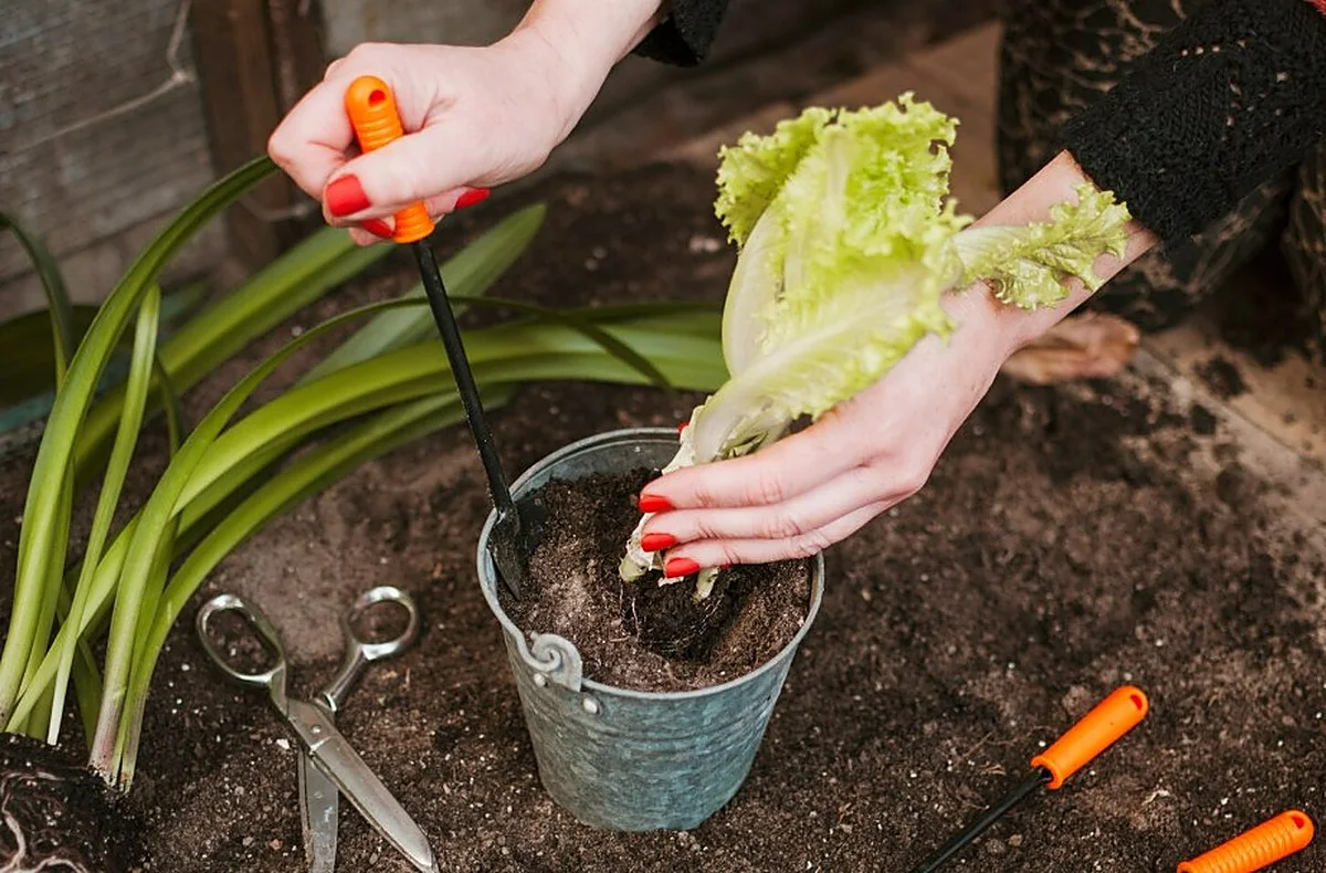 Los mejores regalos para amantes de los huertos, las flores y las plantas