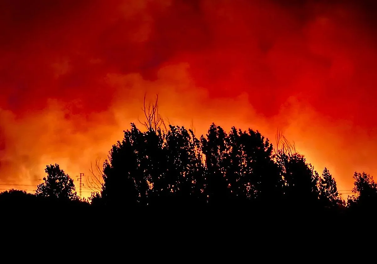 Andalusian forest fire consumes over 3,000 hectares, requiring aerial reinforcement