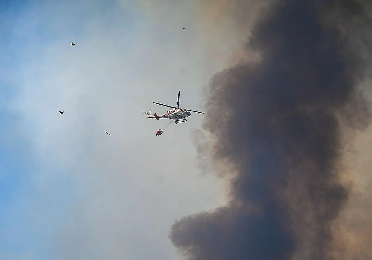 Huelva wildfire mobilises 400 personnel and 25 aircraft