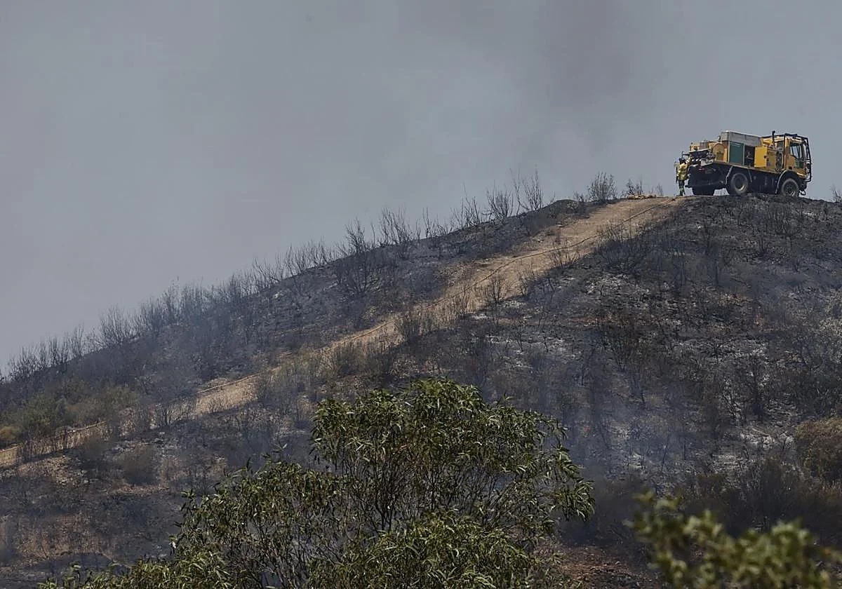 Evolución «favorable» en el incendio de Huelva, que afecta ya a 5.000 hectáreas