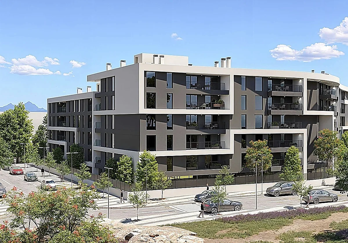 Malaga social housing application process penalises single people