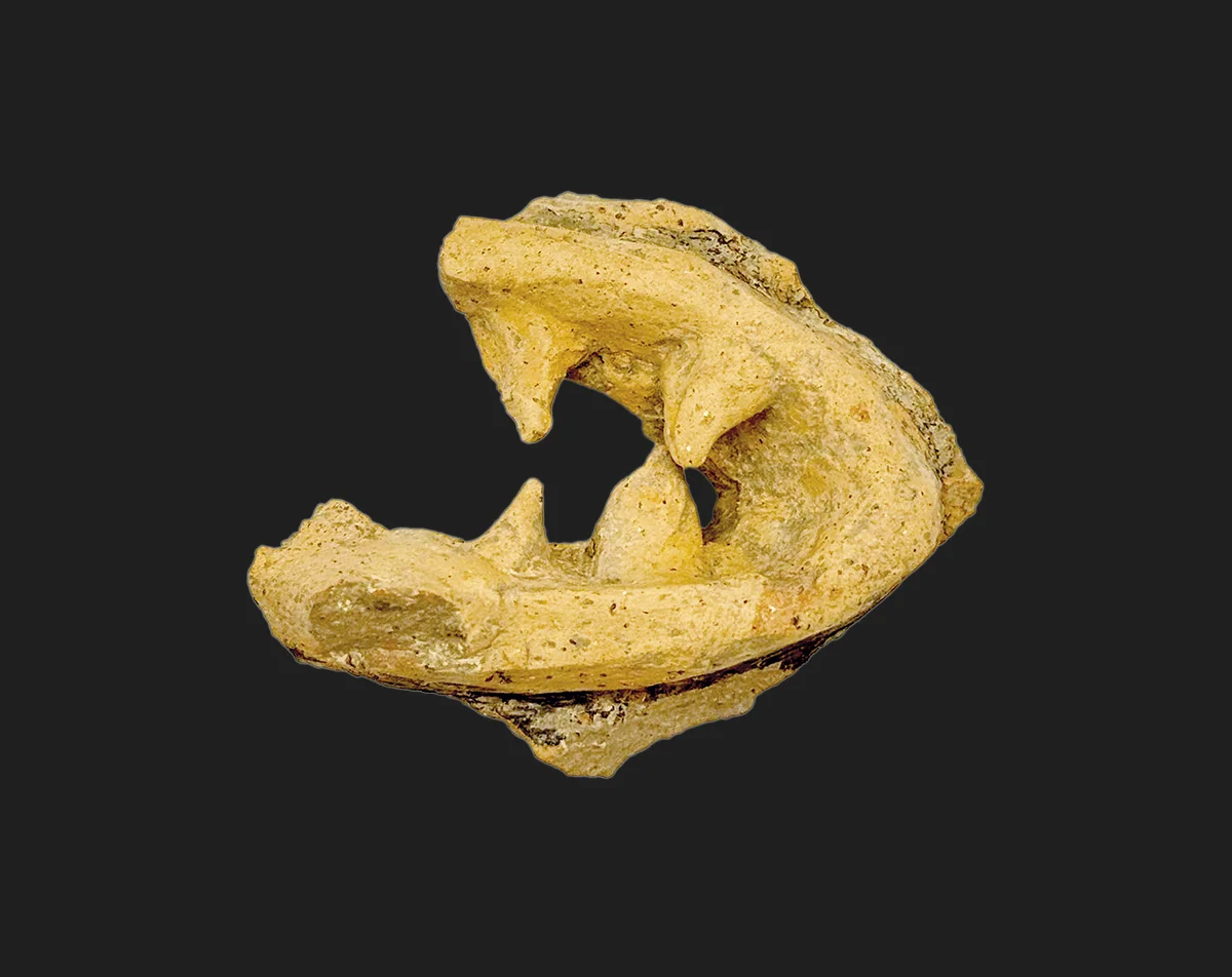 El Cerro del Villar se quita la máscara