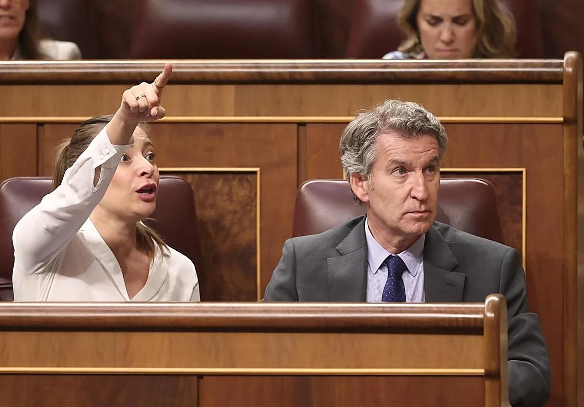 El PP consigue que el Congreso inste al Gobierno a revisar el rescate de Plus Ultra