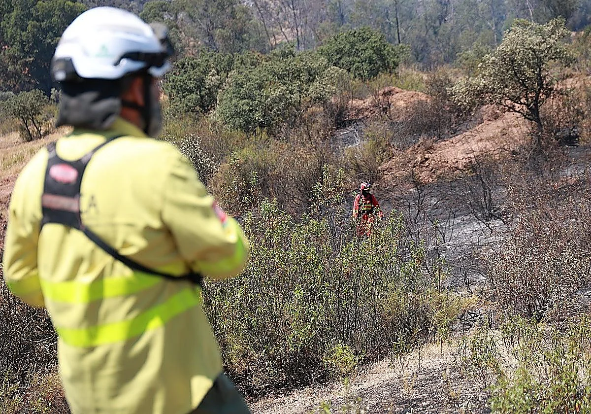 Huelva wildfire stabilises as nearly 100 evacuated residents return home in Andalucía