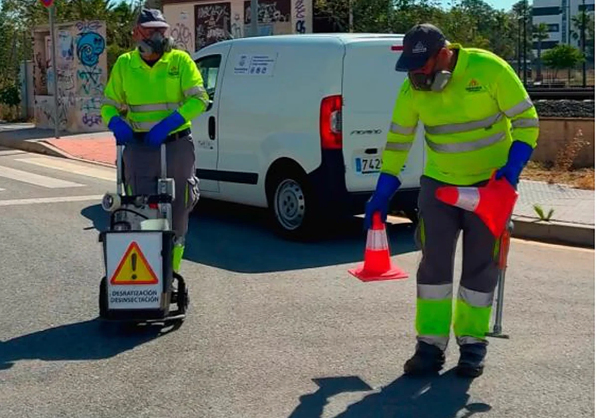 Torremolinos begins summer rodent and insect control campaign