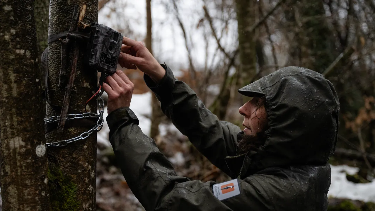 ¿Puede la IA ayudar a salvar la biodiversidad? Una investigadora del MIT cree que sí