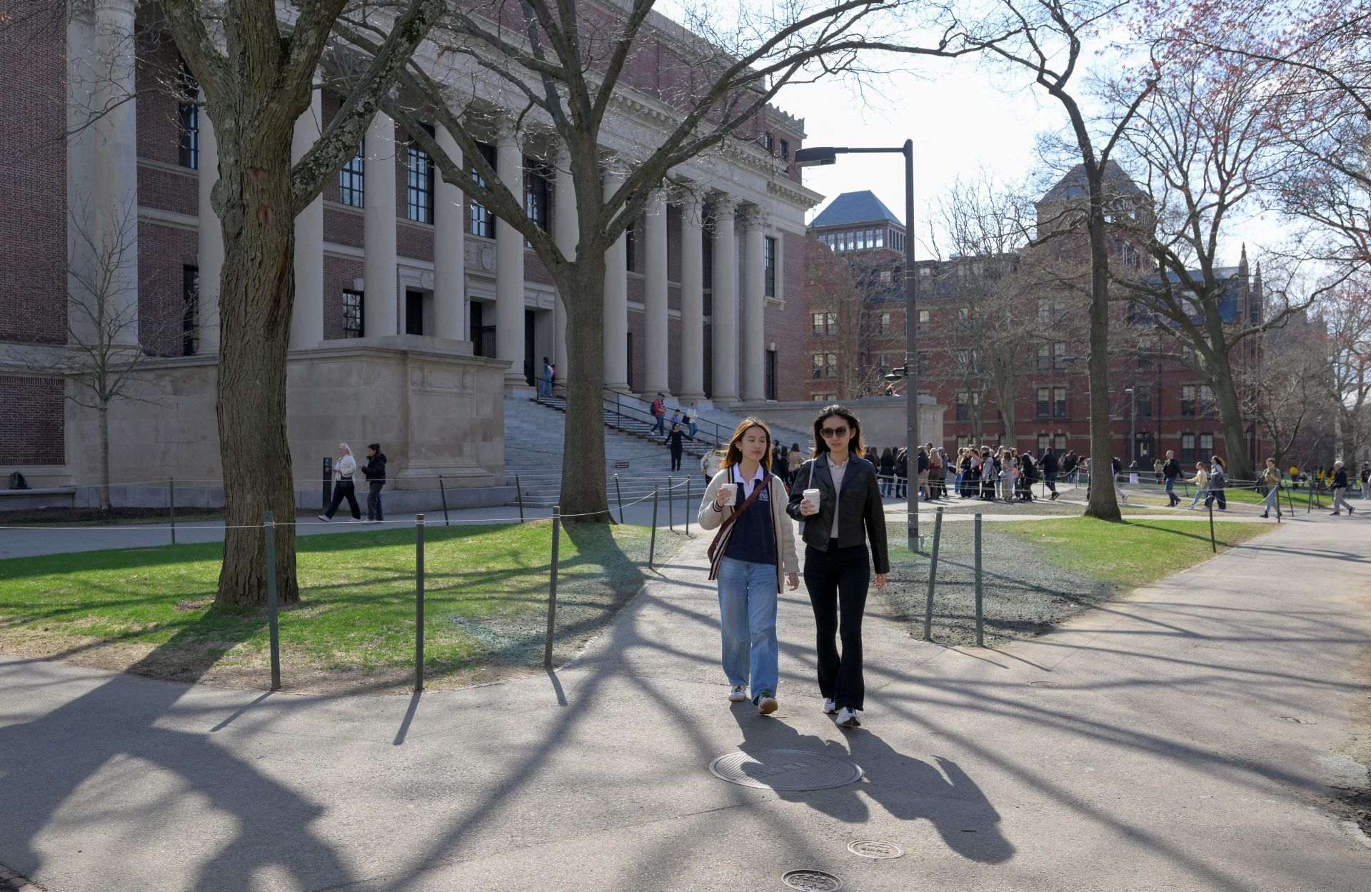 Harvard tiene un problema