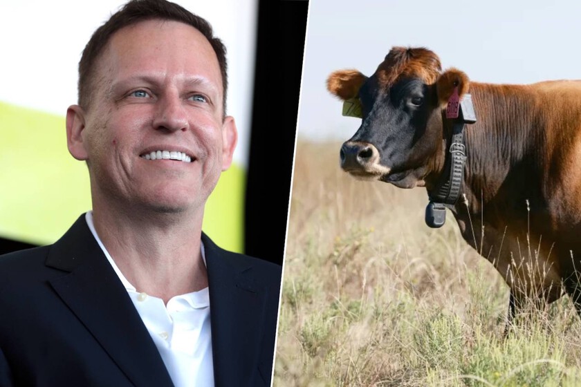 Un "Whoop" para vacas: la última locura de Peter Thiel es cambiar el alambre de espino por una suscripción