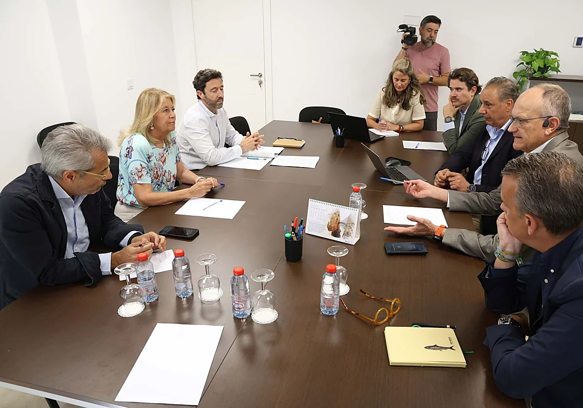 Marbella facilitará las reformas de los hoteles con una normativa urbanística específica