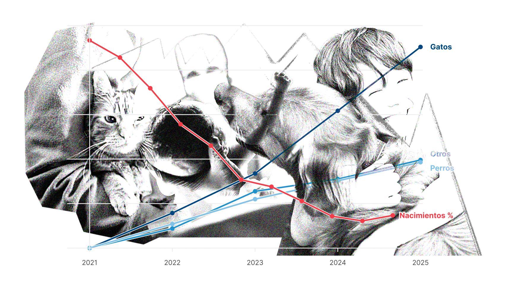Los hogares se vacían de niños y se llenan de perros: hay un 14% más de mascotas desde 2021 y sólo un 1% más de bebés