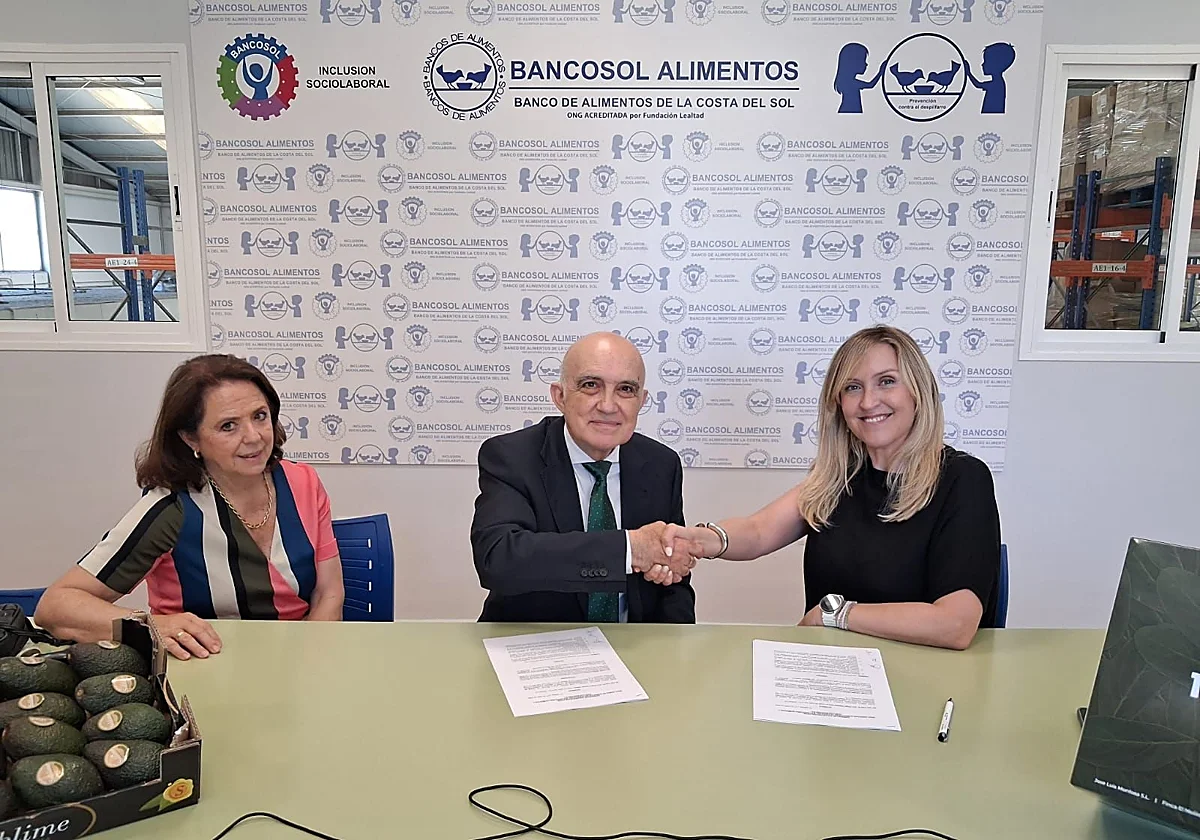 Frutas Montosa y Bancosol renuevan su alianza solidaria con la donación de 1.500 kilos de aguacates