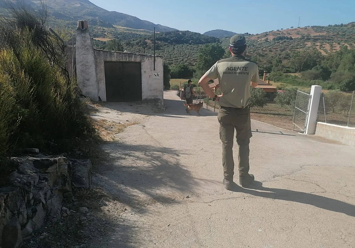 Environmental officers drafted in to search for poison following the death of several pets in El Burgo